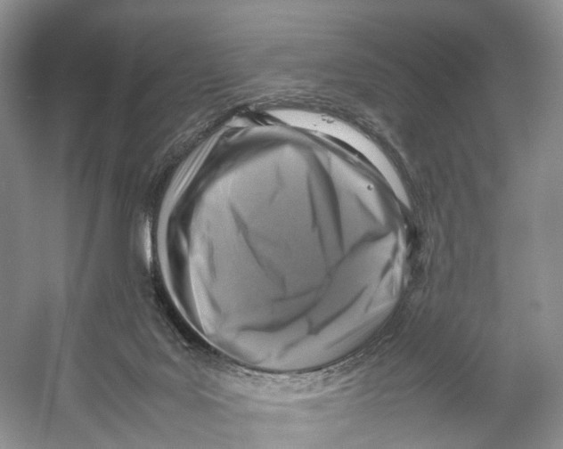 X0000053130027200508081330