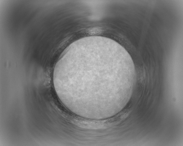 X0000053130032200508081330