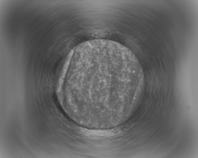 X0000053130034200508081330
