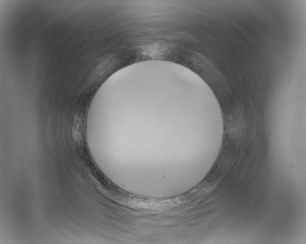X0000053130036200508081330
