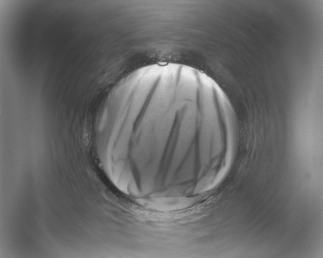 X0000053130039200508081329