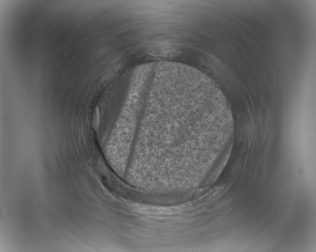 X0000053130040200508081329