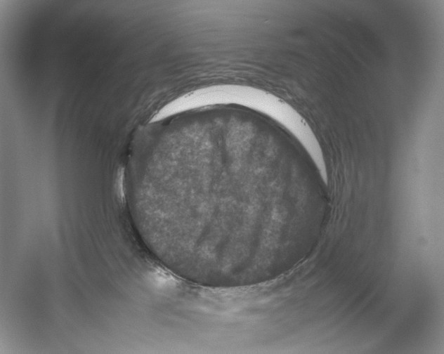 X0000053130041200508081329