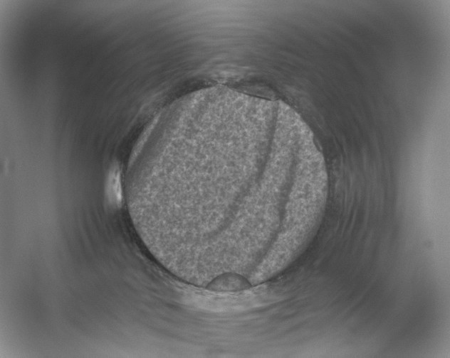 X0000053130042200508081329