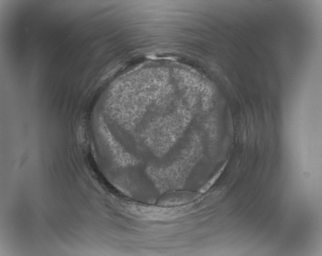 X0000053130044200508081329