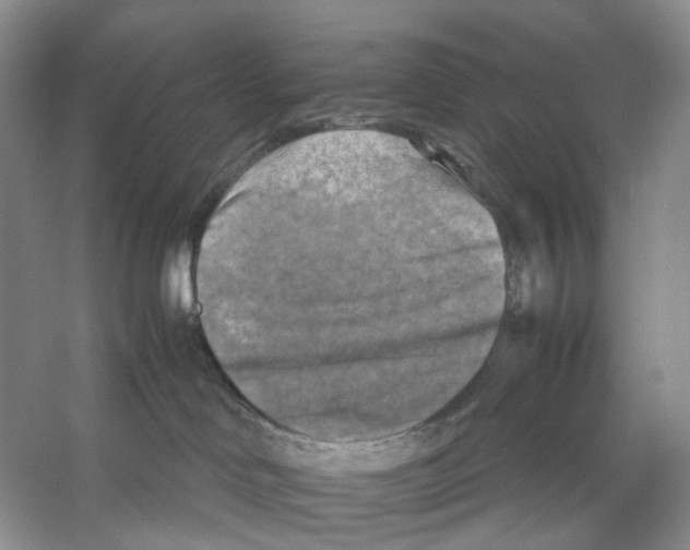 X0000053130046200508081329