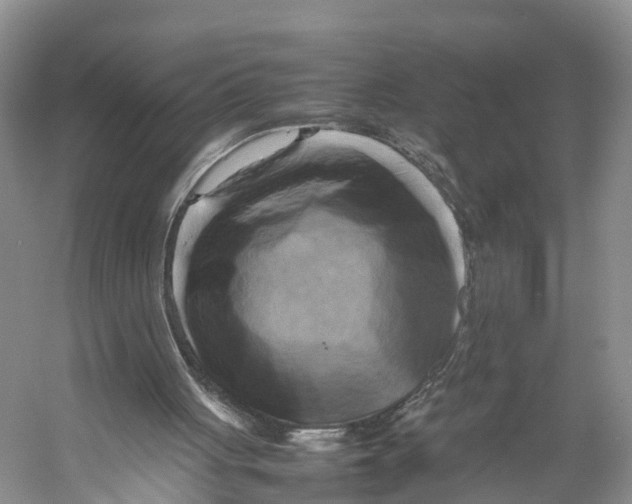 X0000053130051200508081329