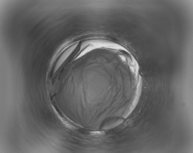X0000053130053200508081329