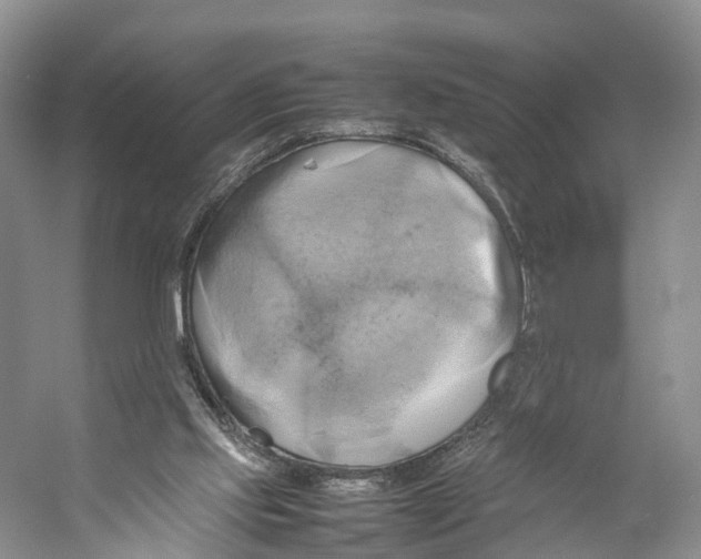 X0000053130061200508081329