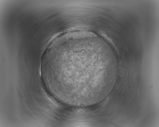 X0000053130062200508081329
