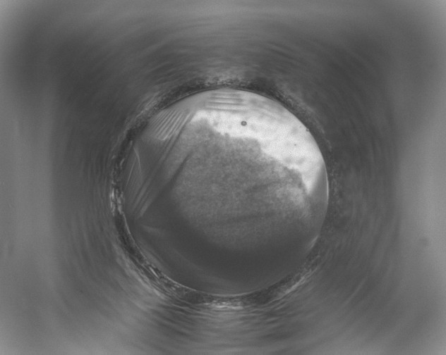 X0000053130067200508081329