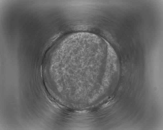 X0000053130068200508081329