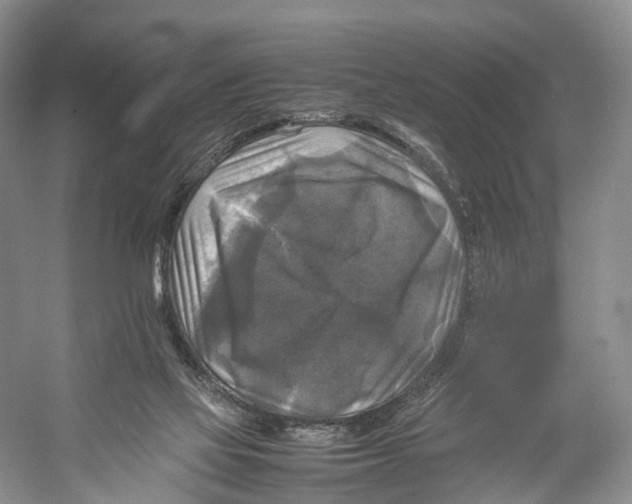 X0000053130069200508081329