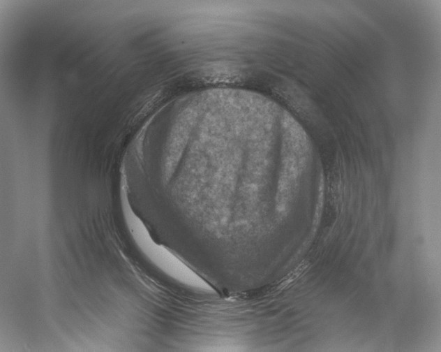 X0000053130070200508081329