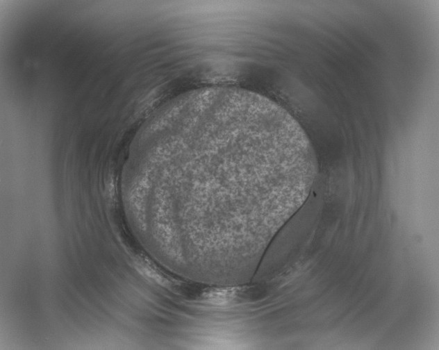 X0000053130084200508081329