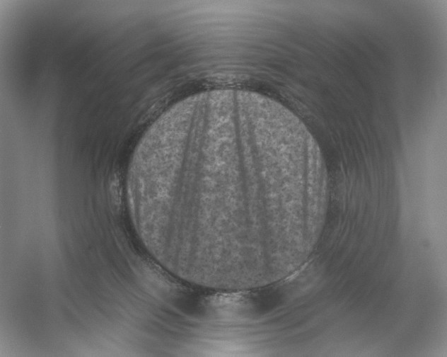 X0000053130086200508081329