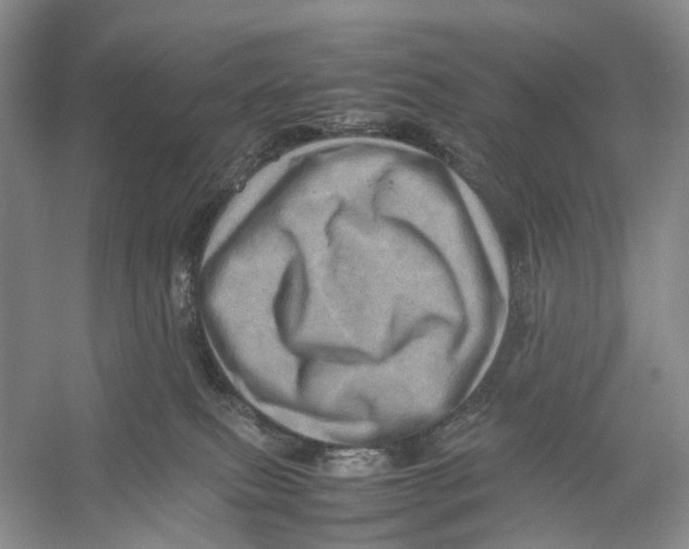 X0000053130087200508081329