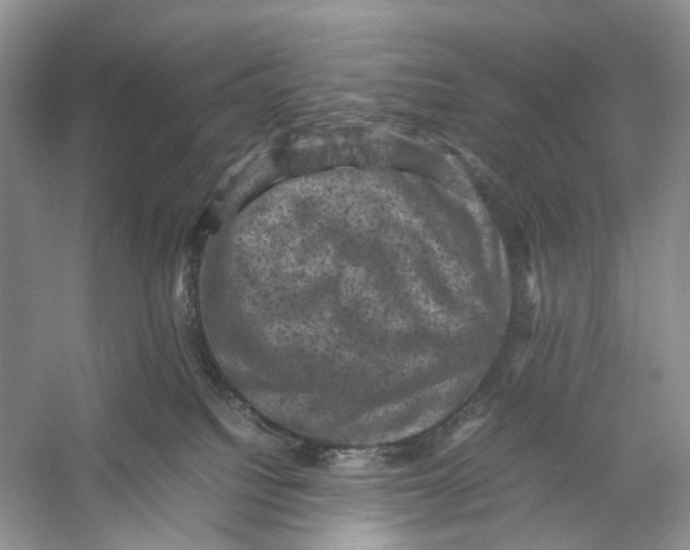 X0000053130088200508081329
