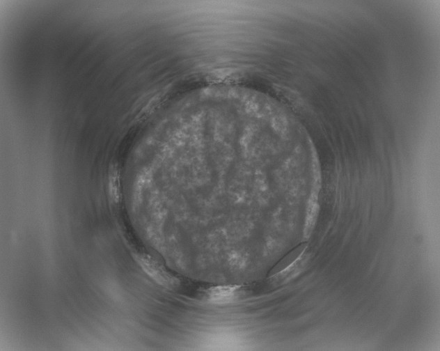 X0000053130090200508081329