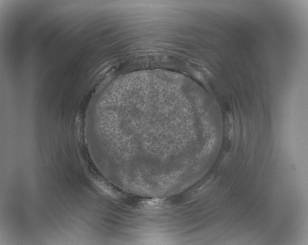 X0000053130092200508081329