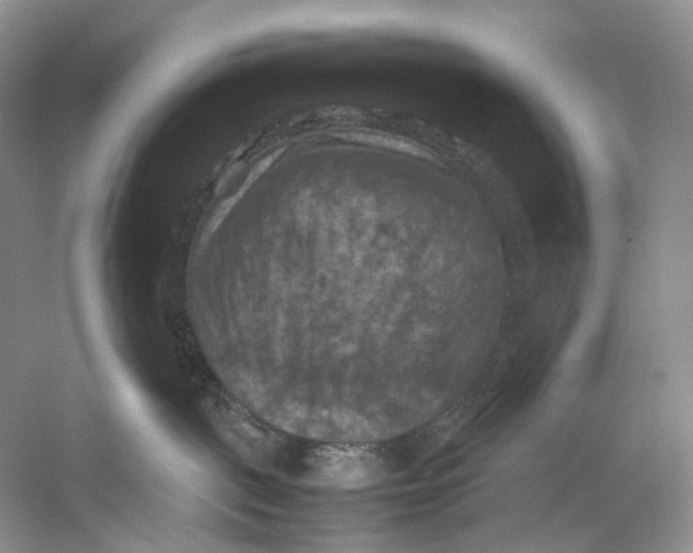 X0000053130093200508081329