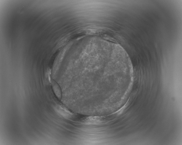 X0000053130094200508081329