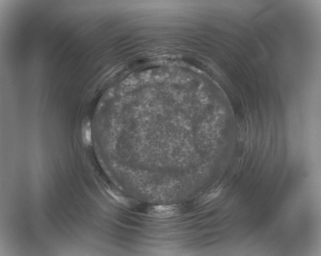 X0000053130095200508081329