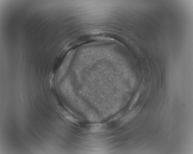 X0000053130096200508081329