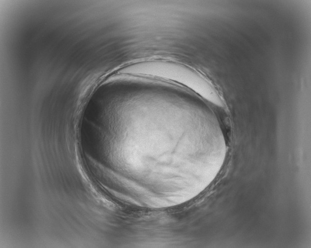 X0000053130097200508081328