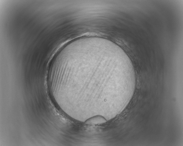 X0000053130098200508081328