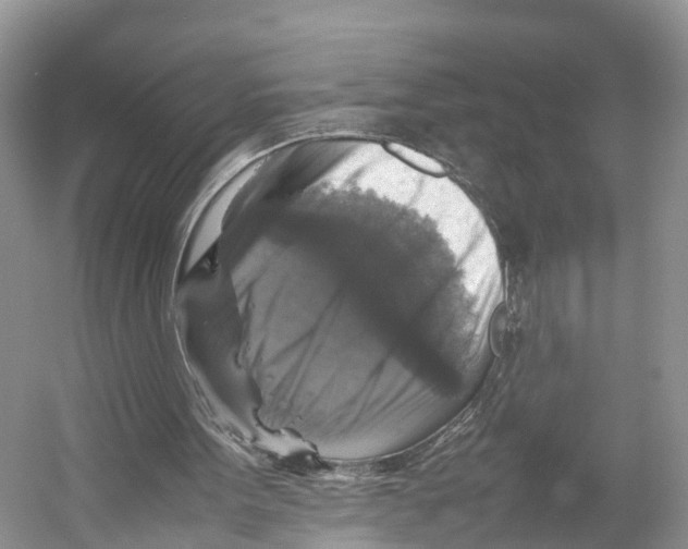 X0000053130099200508081328