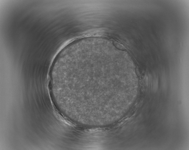 X0000053130100200508081328