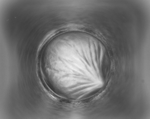 X0000053130101200508081328
