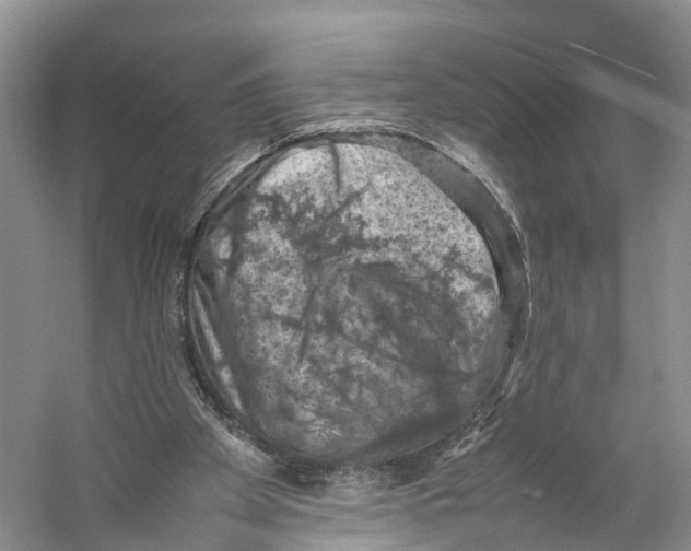 X0000053130105200508081328