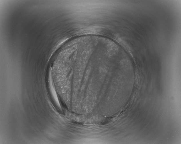 X0000053130107200508081328