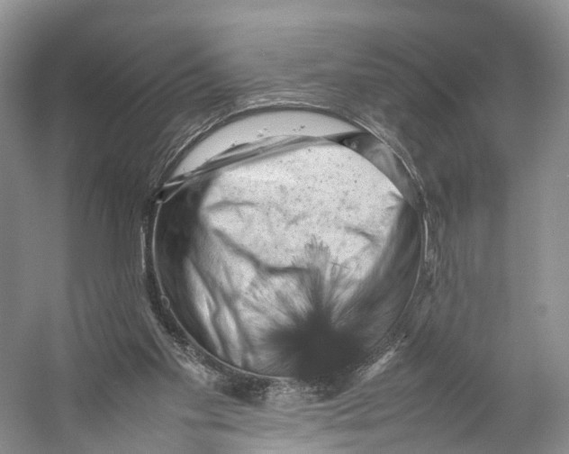 X0000053130109200508081328