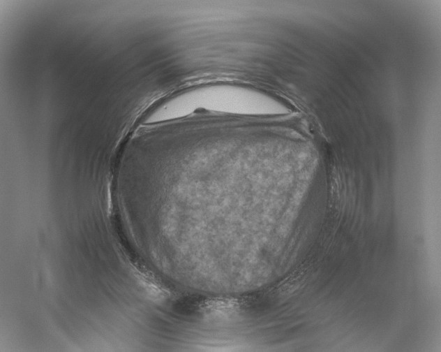 X0000053130110200508081328