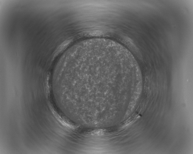 X0000053130116200508081328
