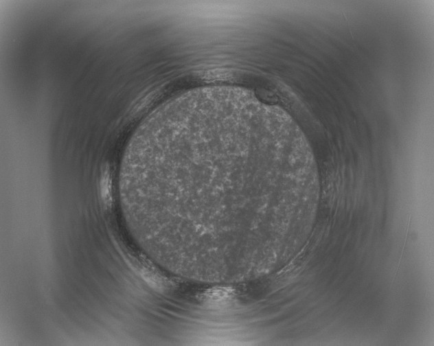 X0000053130124200508081328