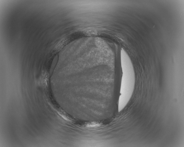 X0000053130125200508081328