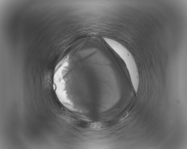 X0000053130127200508081328