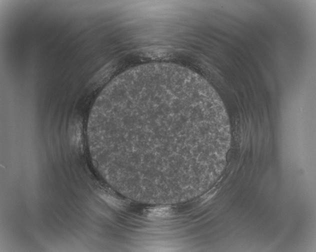 X0000053130132200508081328