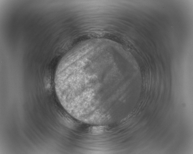X0000053130134200508081328