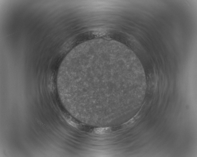 X0000053130136200508081328