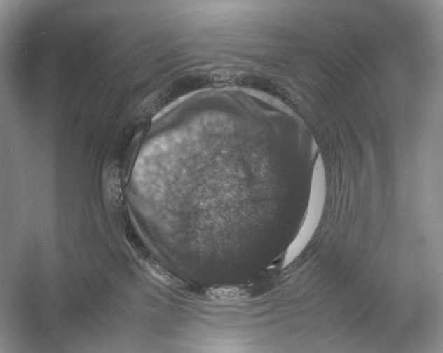 X0000053130137200508081328