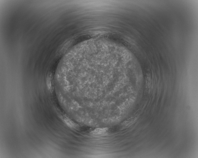 X0000053130138200508081328