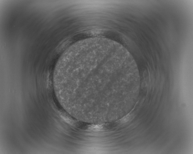 X0000053130140200508081328