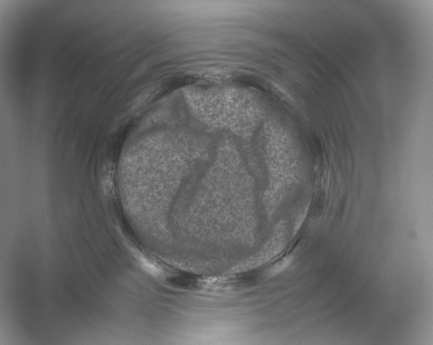 X0000053130141200508081328