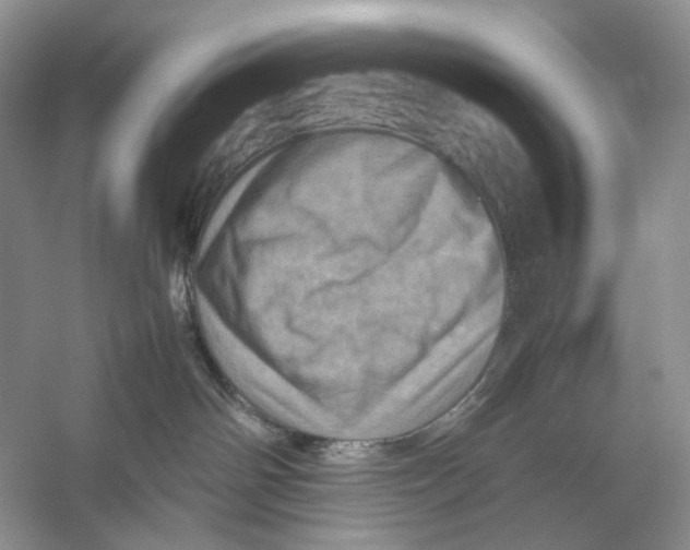 X0000053130142200508081328