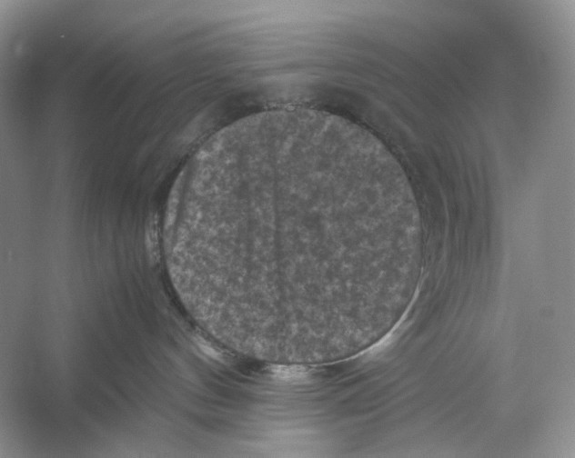X0000053130144200508081328